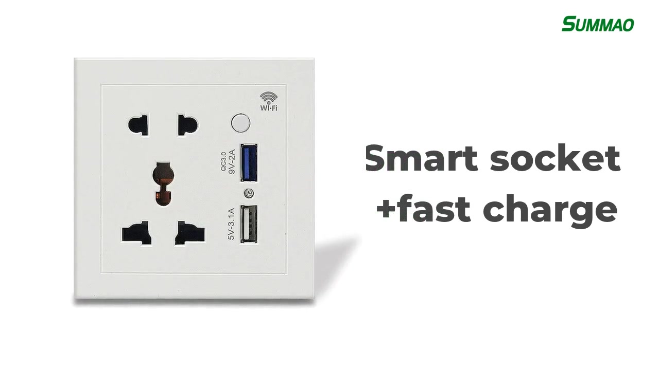 Best WiFi Version Fast Charging Smart Wall Socket Outlet Manufacturer