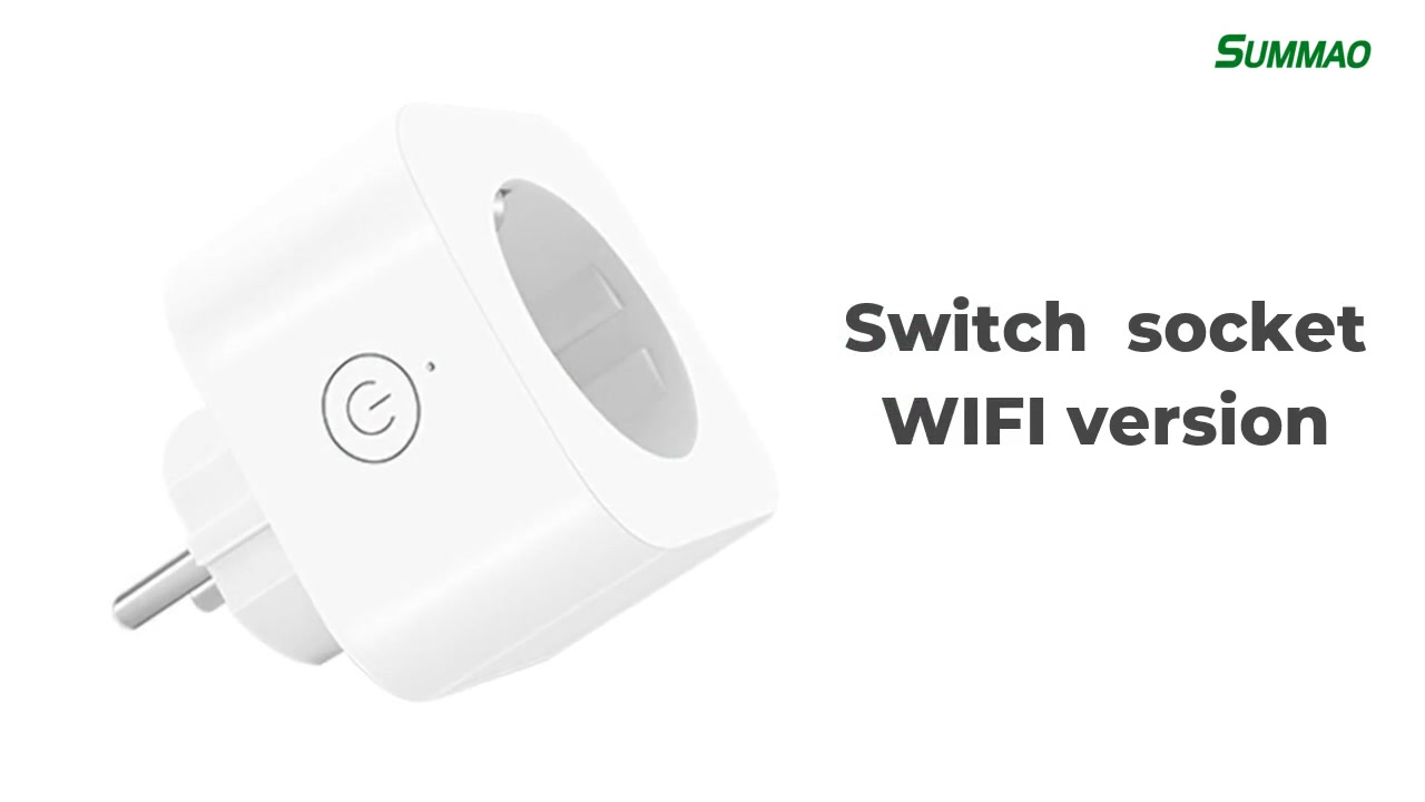 Customized Switch Socket WIFI Version Manufacturers From China