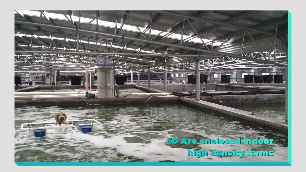 มืออาชีพ Ras ผู้จัดจำหน่ายสำหรับ Grobest (มณฑลกวางตุ้ง) Marine Aquaculture Co. , Ltd
