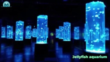 Customized jellyfish aquarium manufacturers from China
