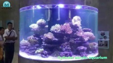 Best quality cylinder acrylic aquarium factory