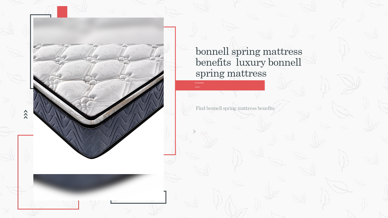 China ka uluna poʻokela luna bonnell spring mattress manufacturing-Rayson