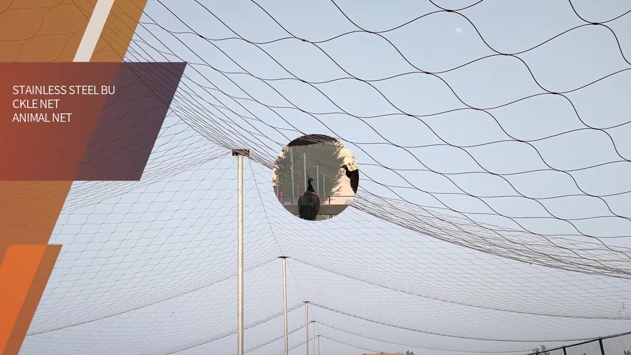 Animal Net