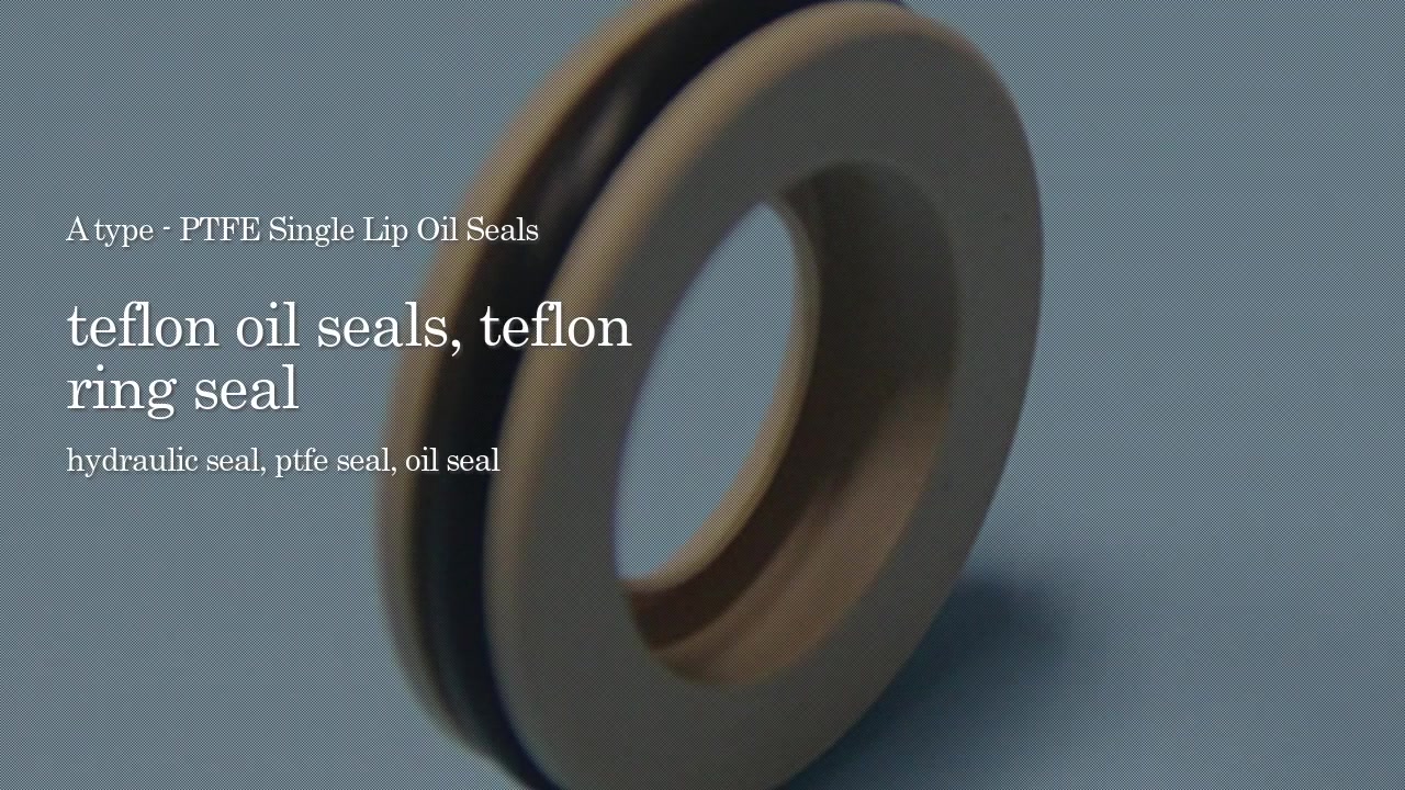 A type - PTFE Single Lip Oil Seals
