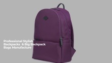 China Backpack Nylon fabric large capacity with zipper closure manufacturers-