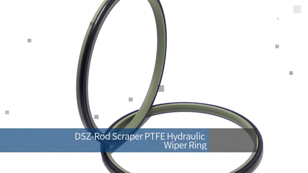 DSZ-Rod Scraper PTFE Hydraulic Wiper Ring