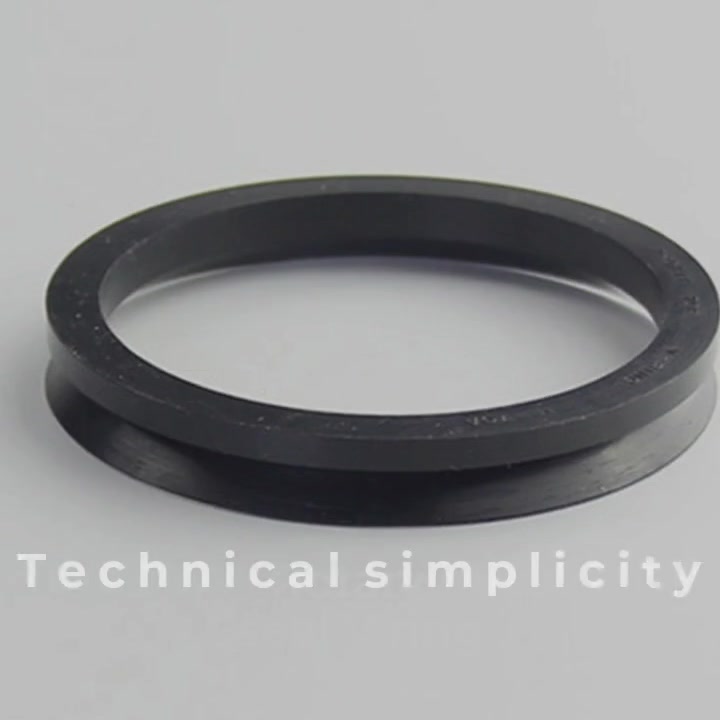 DVA - Rotary rubber seal V ring Supplier