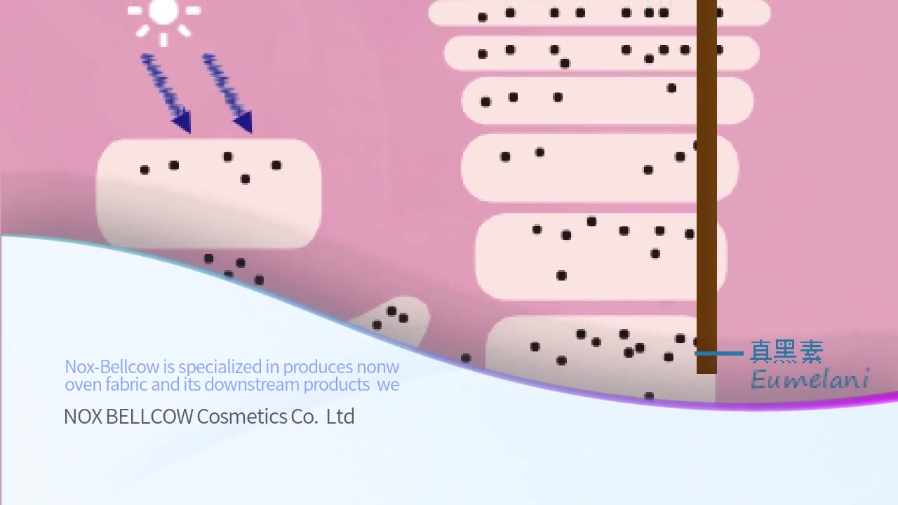 NOX BELLCOW Facial Skin Products | Fermentwhite Manufacture