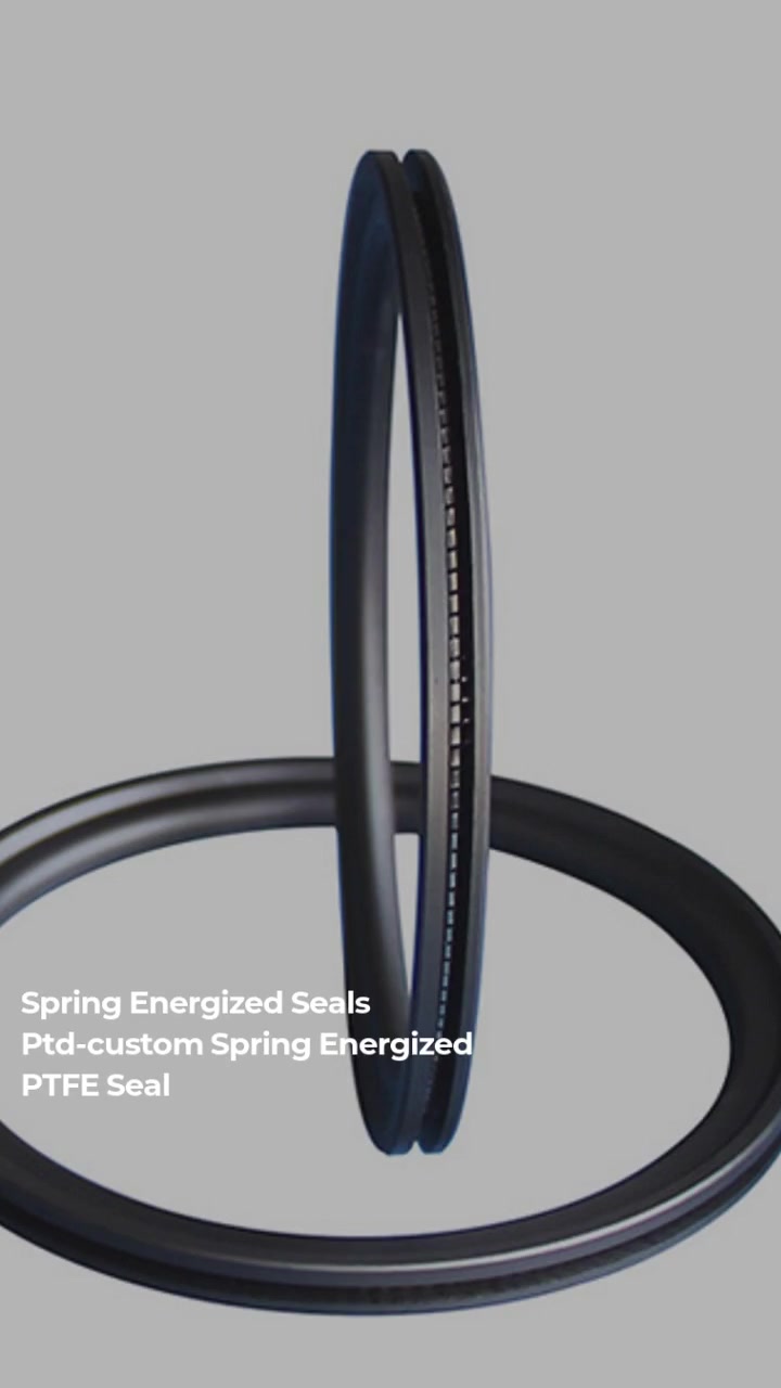 PTD-External Face Spring Energized PTFE seal