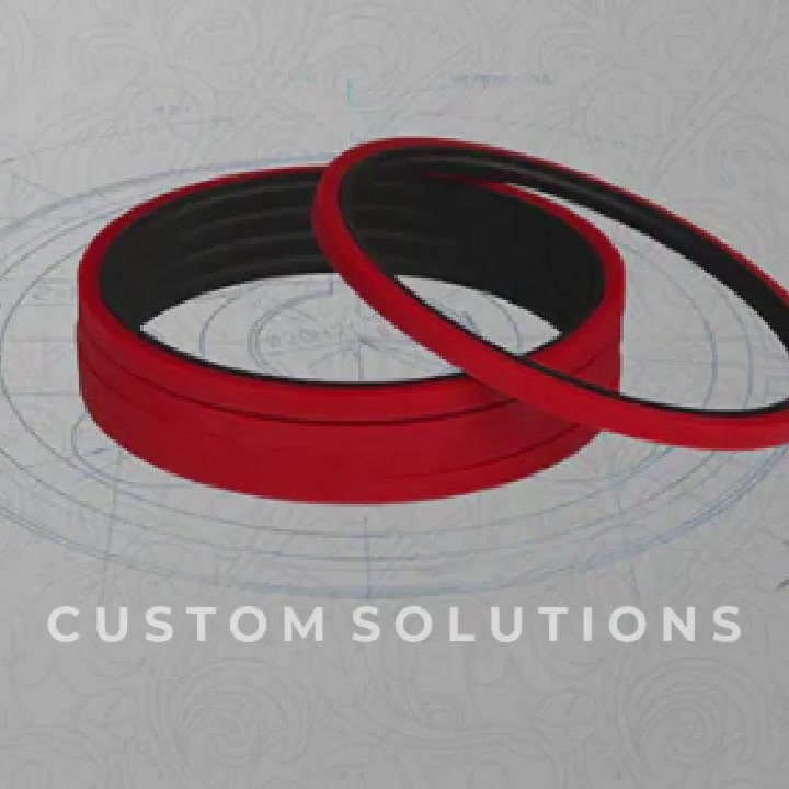 Best Professional Guangdong DSH Seals manufacturer Supplier