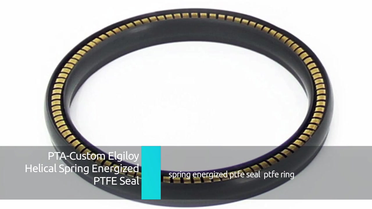 PTA-Custom Elgiloy Helical Spring Energized PTFE Seal
