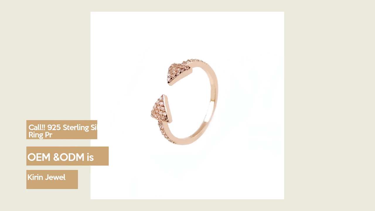 High Quality 925 Sterling Silver Ring Product for Woman 107046 Wholesale