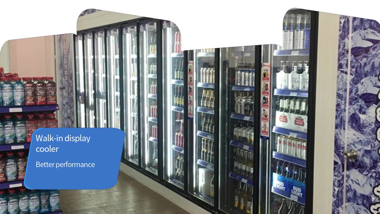 china walk in cooler glass doors & windows&shelving system