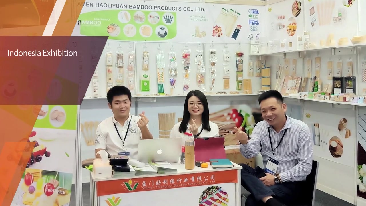 Customized China Indonesia Exhibition manufacturers-Haoliyuan manufacturers FromChina