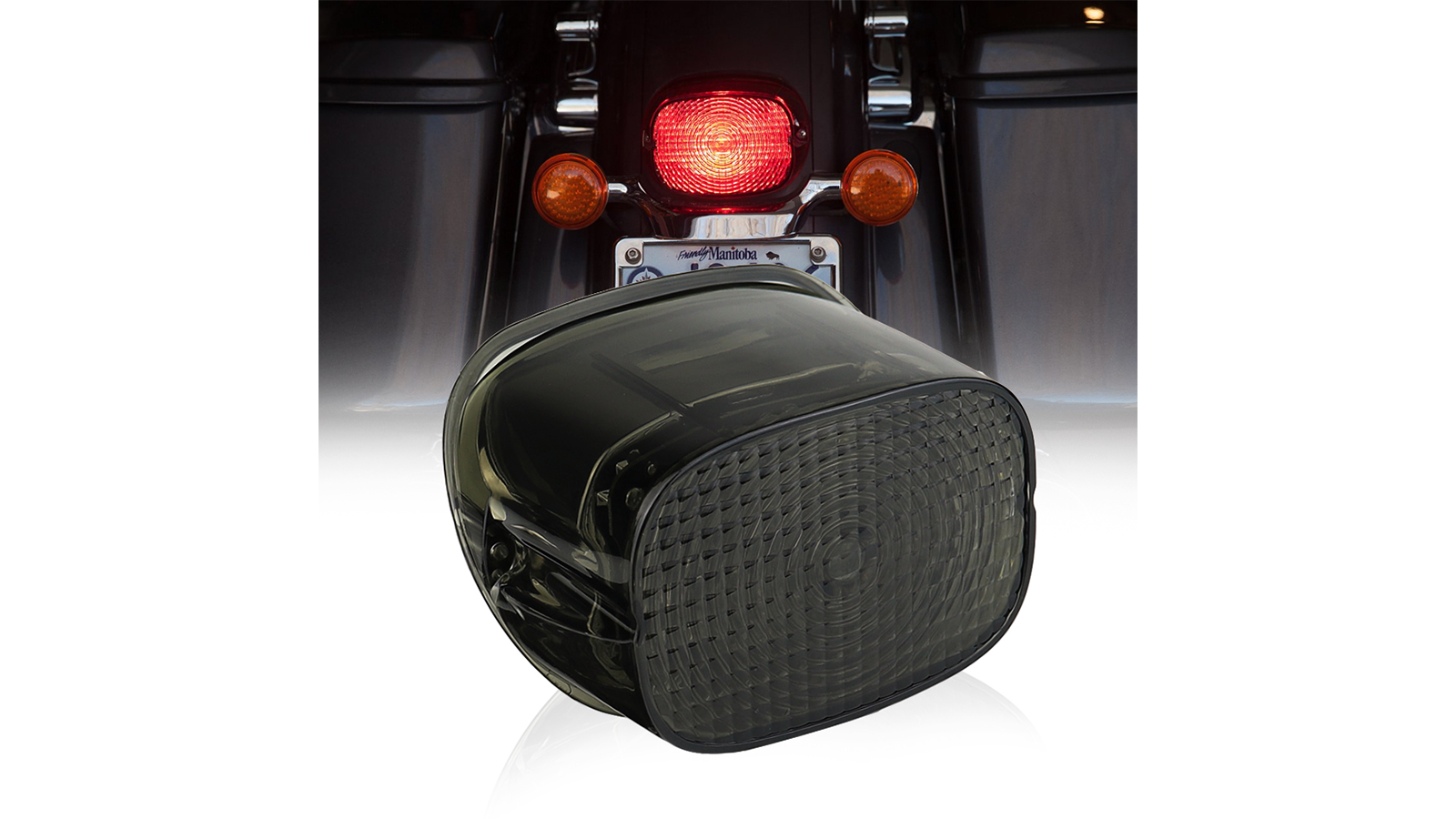 Aukma Led Taillight OEM Design Fit For 1999+ Big Win And Sportster Models