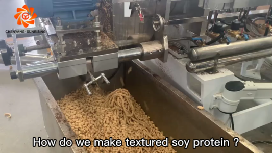 Extrudeuse texturée de nourriture de viande artificielle végétale de  protéine de soja de TSP/TVP faisant