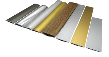 Transition Strips