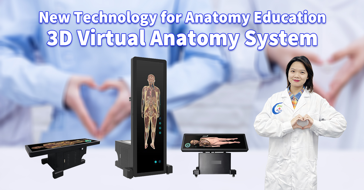 3D virtuele anatomiestelsel | Nuwe Tegnologie vir Anatomie Onderwys | MeCan Medies
