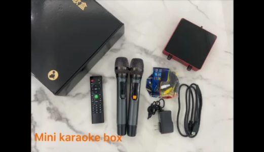 Mini karaoke box SK-9988.