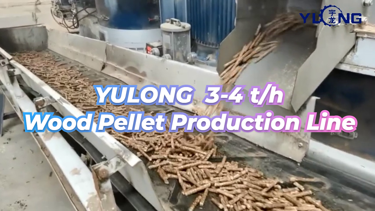 Ligne de production de granulés de bois Moulin à granulés de sciure Pellet de balle de riz Making Machine
