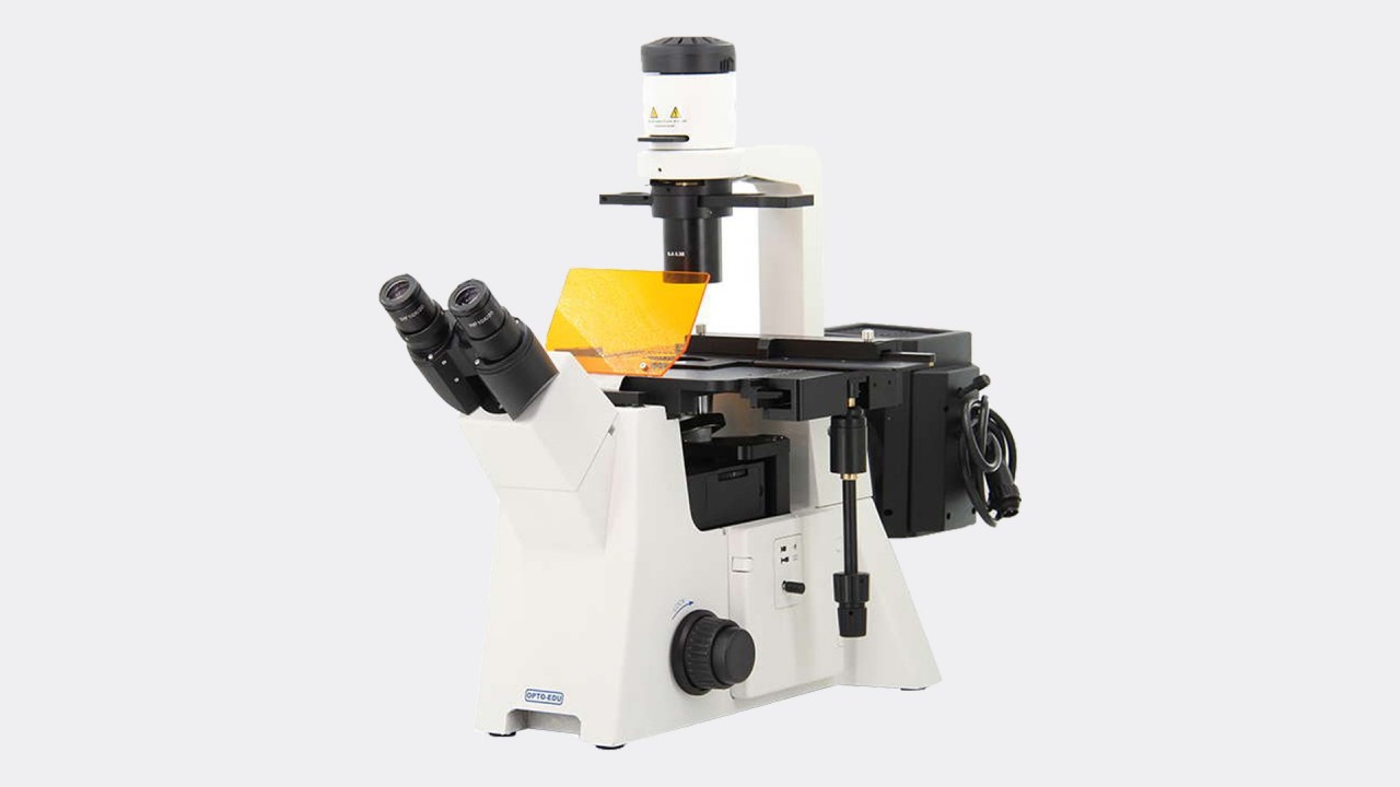 A16.2702 Mikroskop Fluoresen Terbalik