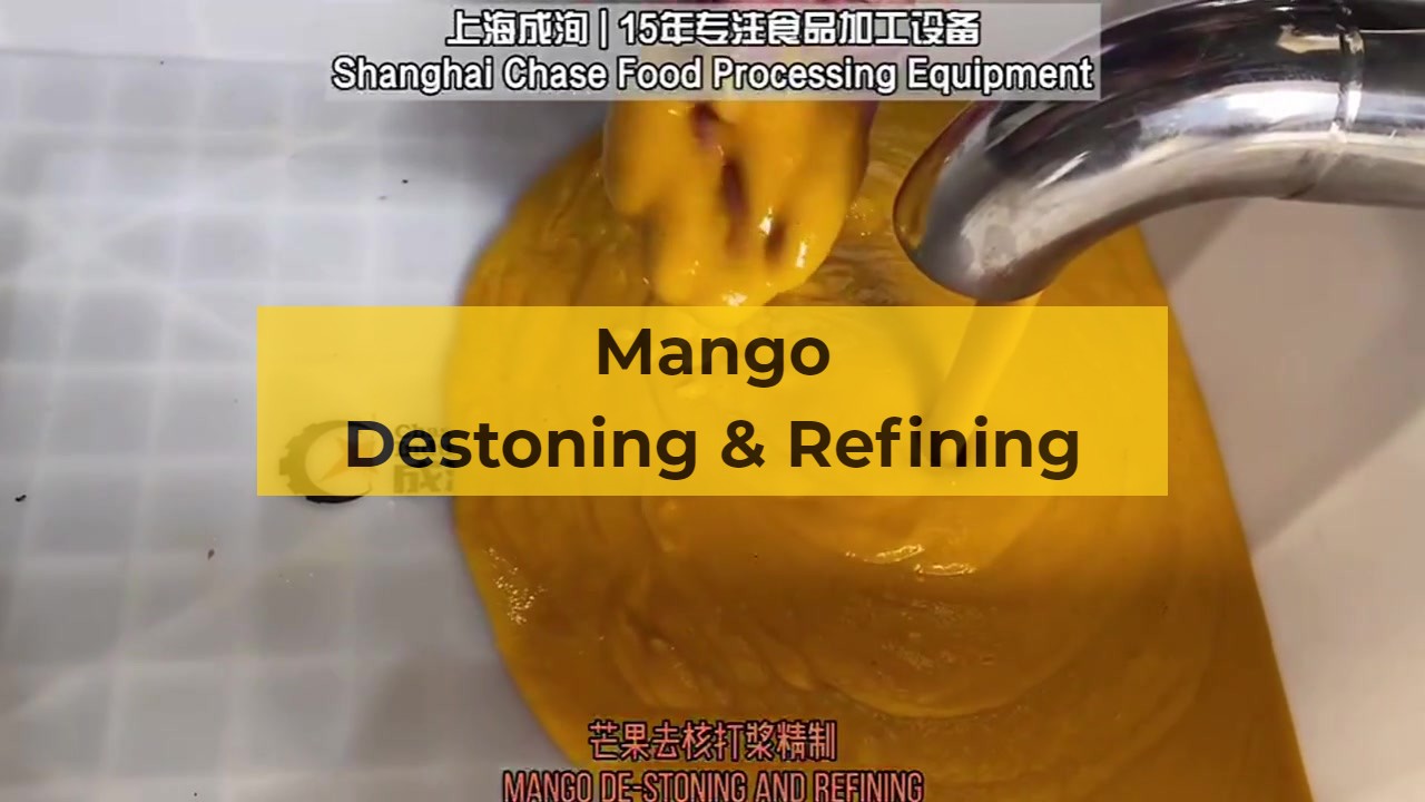 Mango destoner and pulper