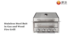 New Arrival Outdoor Product Easily Assembled Stainless Steel Barbecue Wood Fired Gas Grill