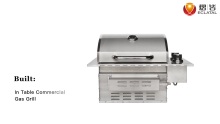 Hot Sale Commercial Outdoor Kitchen 2 Infrared Side Burner Built-In Table BBQ Gas Grill