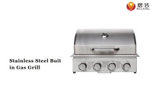 Modern Portable Outdoor Garden Built In 304 Stainless Steel Gas BBQ Grill