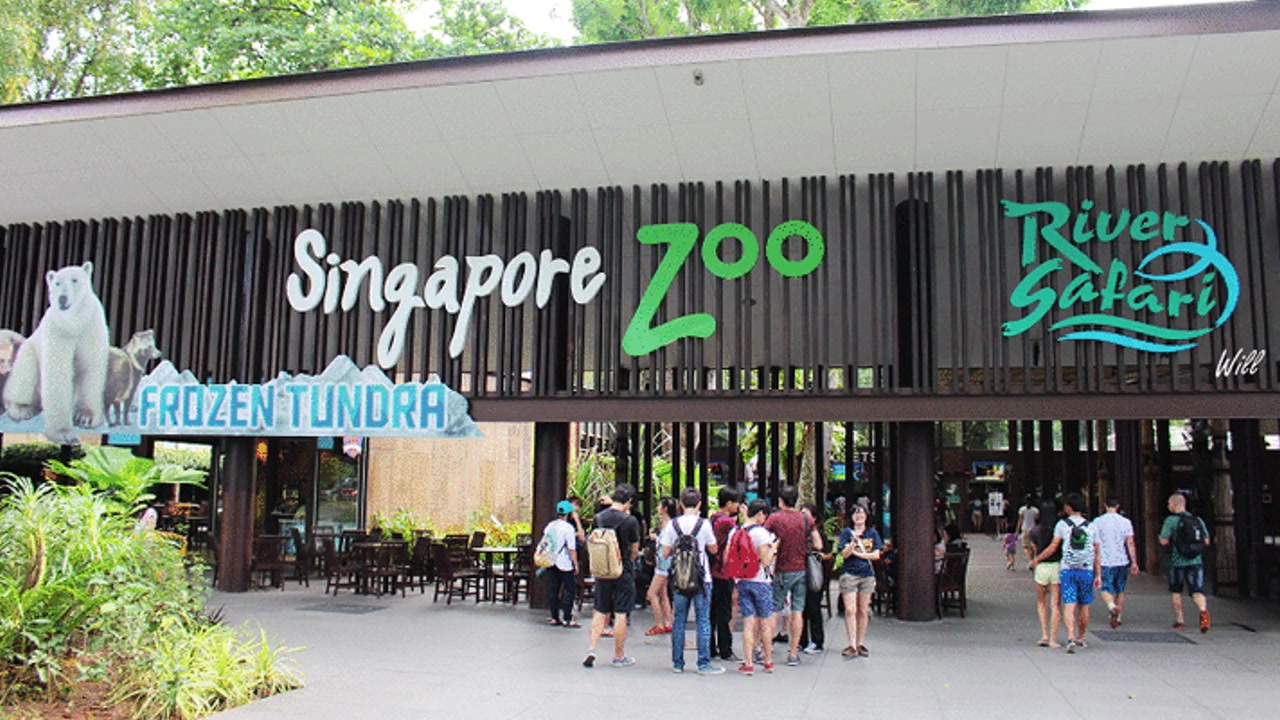 Poolking’s Horizontal Sand Filters in Singapore Zoo