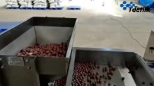 Intelligent Beans X-Ray Inspection System Supplier