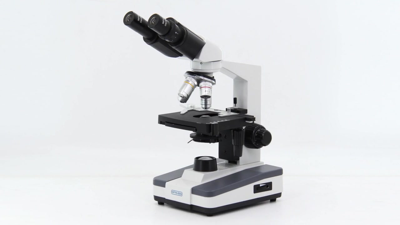 A11.1313 Microscopio biologico, binocolo Seidentopf