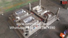 Professional Thin Wall Plastic Injection Mould