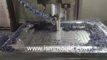 ISM daily mould processing