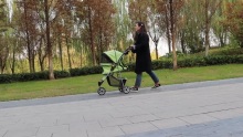 3 roth stroller peataí tralaí iniompartha iompróir stroller cage cat cat