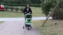 Stroller mór peataí le hiompróir ciseán mór stórála