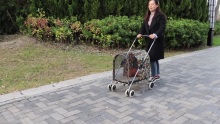 4 roth stroller madra peataí dúbailte stroller peata tralaí iniompartha