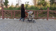 cart madra taistil tralaí taistil peataí stíl nua, stroller mór peataí