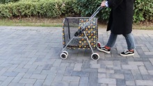 4 roth stroller leanbh stroller peataí