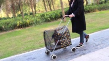 Stroller peataí saincheaptha le haghaidh taistil
