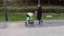 pramanna peataí iniompartha táirgí peataí stroller madraí