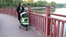 strollers doll leanbh mórdhíola agus strollers peataí suíochán carr