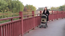 stroller taistil peataí só fillte do chait madraí coinín 4 roth strollers bogshodar fabraic oxford