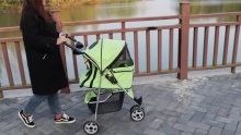 stroller eagraí stroller peataí stroller leanbh