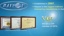 Best China Wholesale Polyester Sleeping Pillow FactoryPrice-Rayson