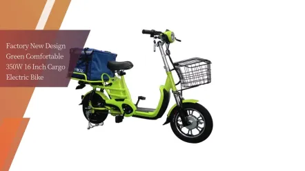 工場の新しいデザイングリーン快適な350w16インチカーゴ電動自転車配達用 東莞高蘭電動自転車株式会社 Dongguan Gaoran Electric Bicycle Co Ltd