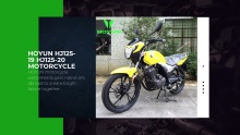 With Zongshen engine Latin America Bolivia Peru HOYUN PEGASUS Motoline Motonel Fenix Haojin Kanda HJ125-20 motorcycle