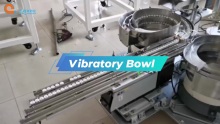 Vibratory Bowl