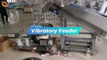 Vibratory Feeder