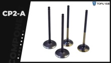Engine Parts VALVE FOR HONDA CP2-A